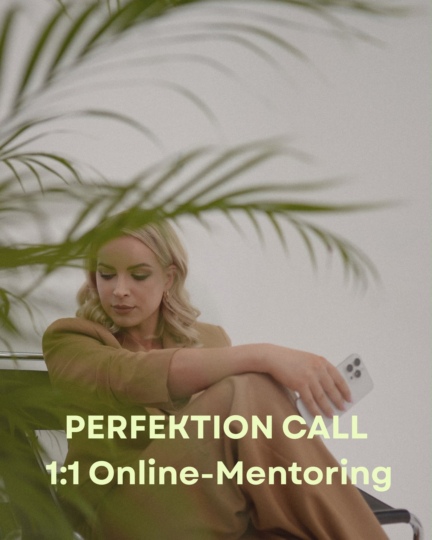 Perfektion Call – 1:1 Online-Mentoring